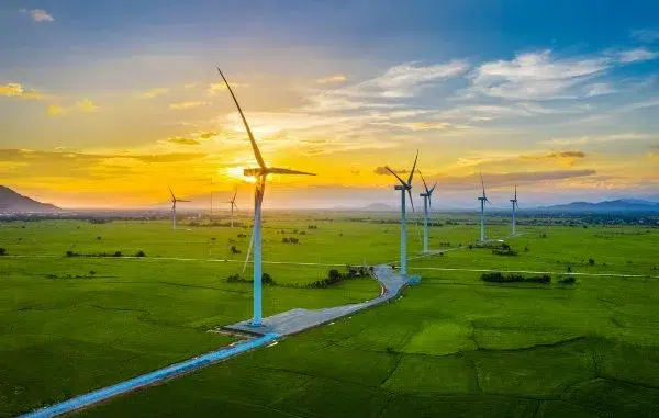 Clocaenog Forest Wind Farm